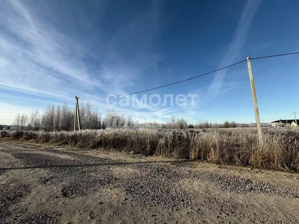 Участок в Костромская область, Костромской район, Бакшеевское с/пос, ... - Фото 1