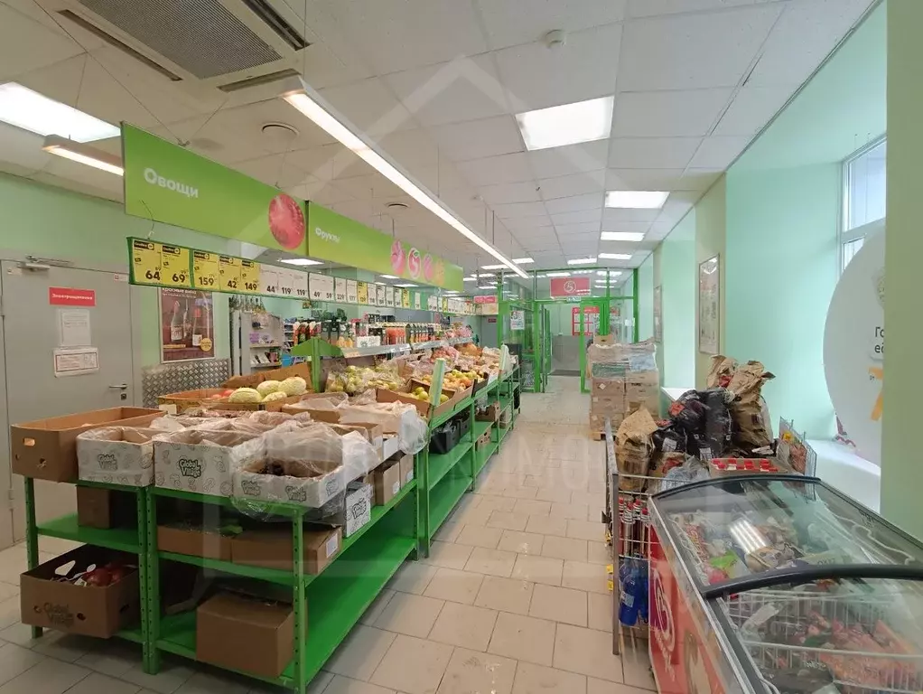 Помещение свободного назначения в Омская область, Омск пос. Амурский, ... - Фото 1