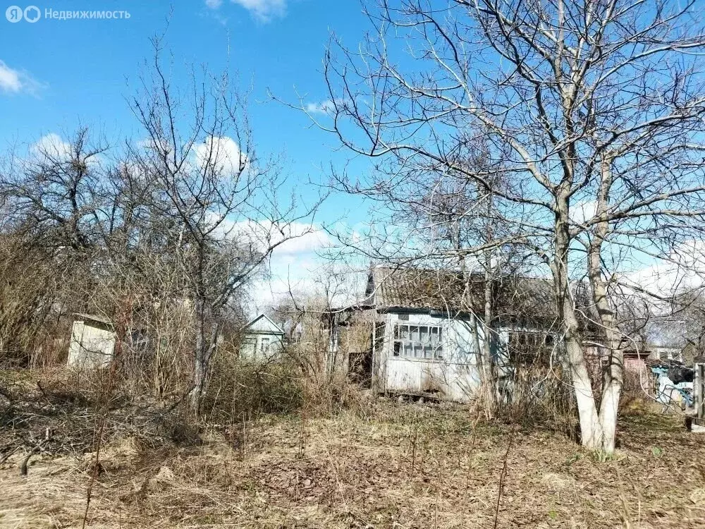 Участок в Брянск, садоводческое объединение Дружба-2, 317 (5.5 м) - Фото 1