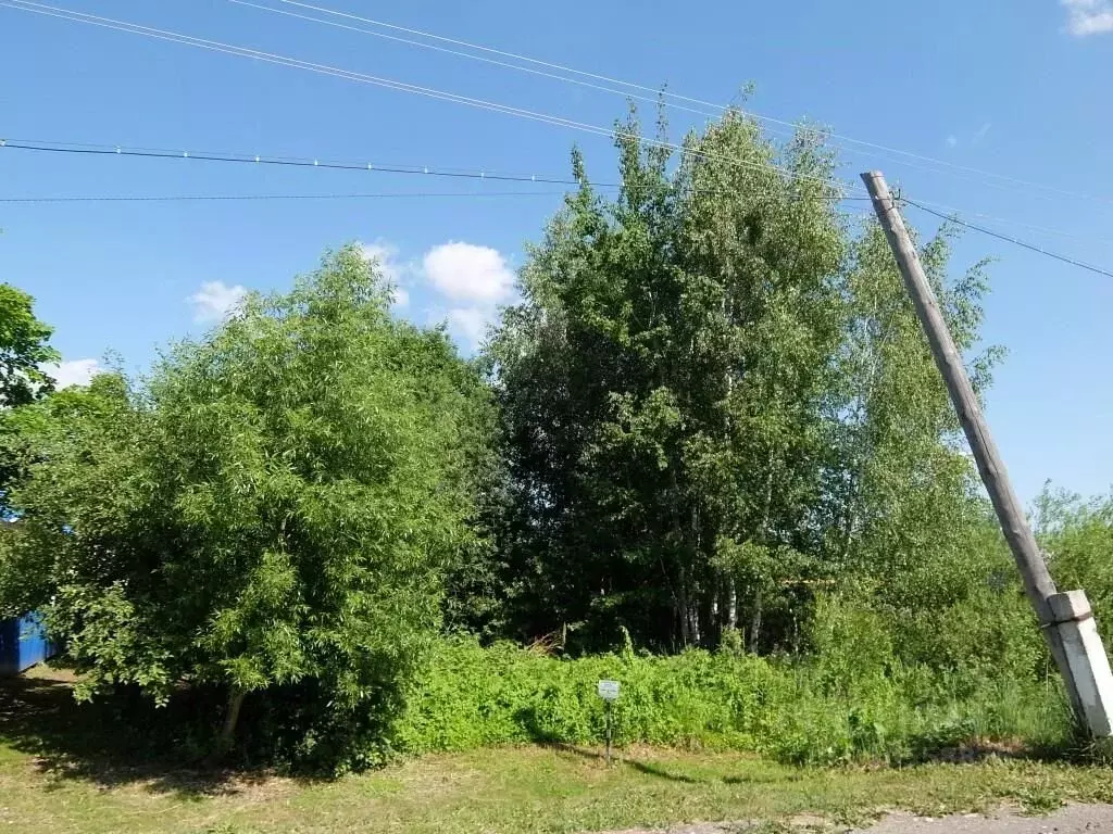 Участок в Владимирская область, Судогодский район, Вяткинское ... - Фото 1