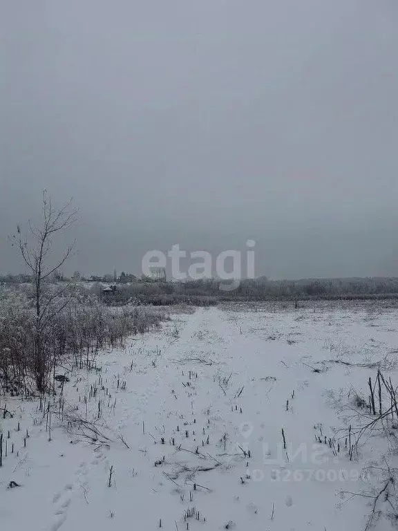 Участок в Воронежская область, Семилукский район, Девицкое с/пос, ... - Фото 1