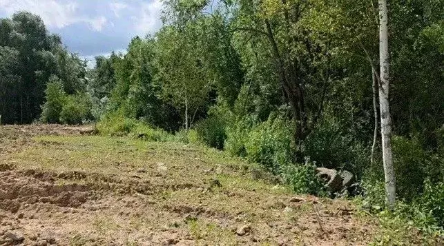 Участок в Московская область, Щелково городской округ, д. Медвежьи ... - Фото 1