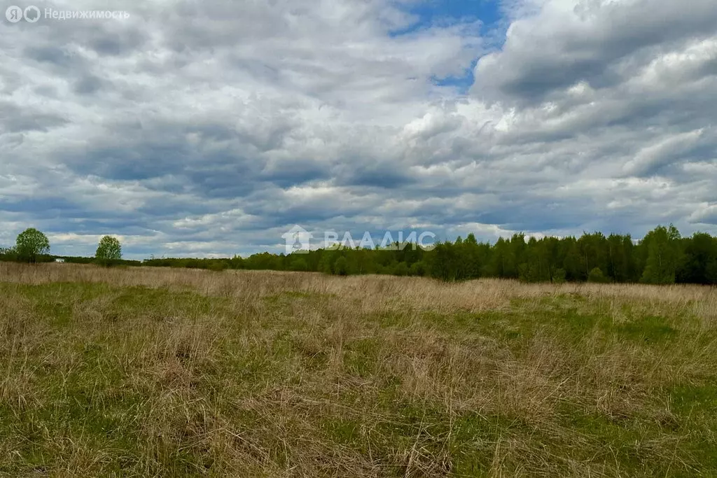 Участок в городской округ Владимир, деревня Шепелево (11.6 м) - Фото 1