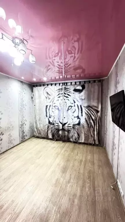 1-к кв. Камчатский край, Петропавловск-Камчатский ул. Виталия Кручины, ... - Фото 1