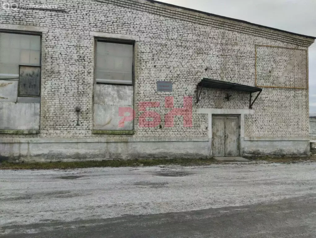 Склад (296.1 м) - Фото 1