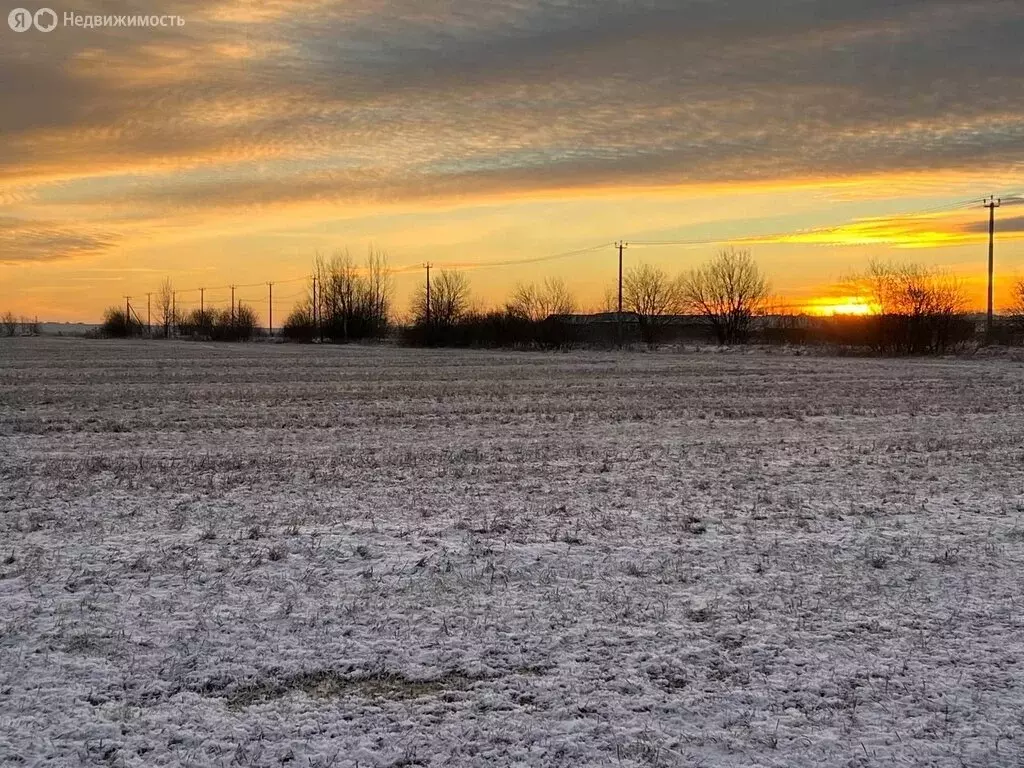 Участок в Ломоносовский район, Аннинское городское поселение, посёлок ... - Фото 2