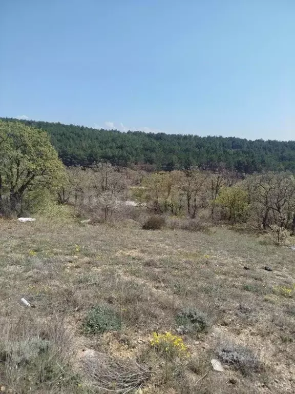 Участок в Севастополь ул. Федоровская (10.0 сот.) - Фото 1