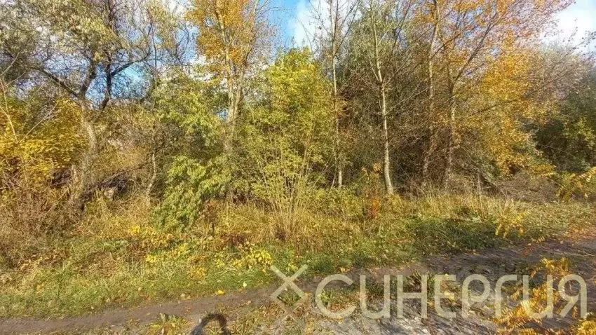 Дом в Ростовская область, Азовский район, Елизаветинское с/пос, Коса ... - Фото 1