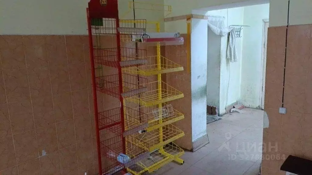 Помещение свободного назначения в Еврейская автономная область, ... - Фото 1