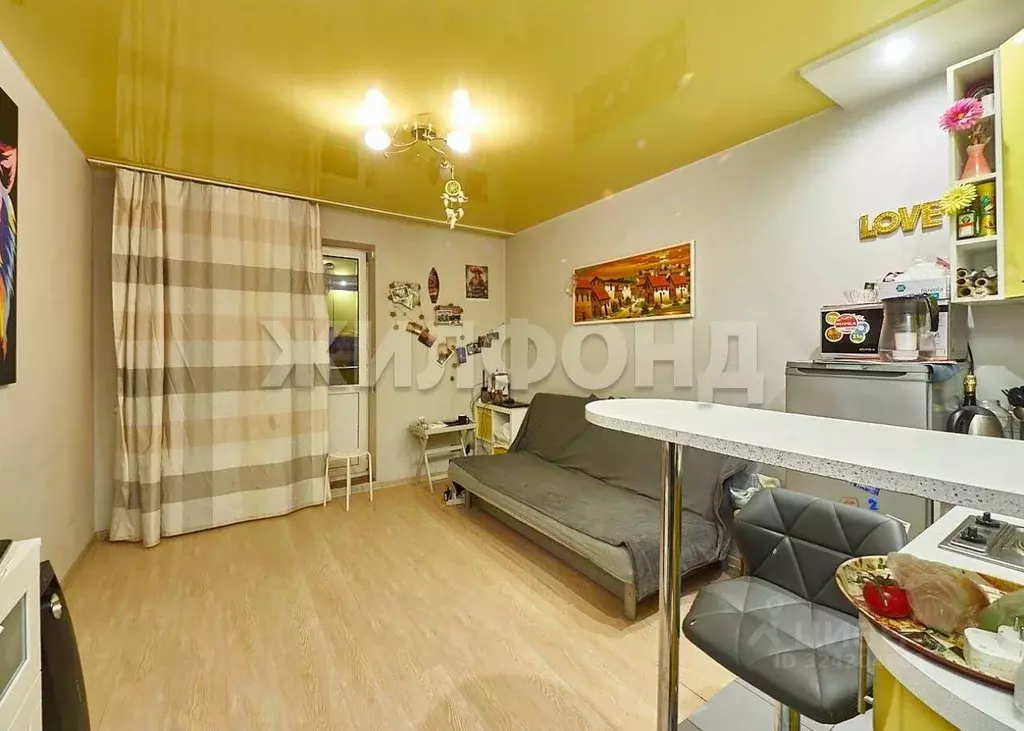 1-к кв. Новосибирская область, Новосибирск ул. Бориса Богаткова, 208/3 ... - Фото 1