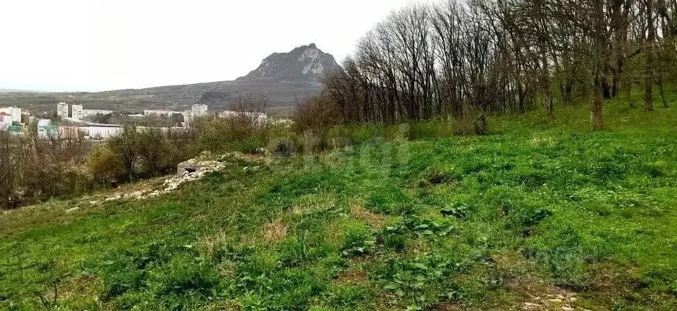 Участок в Ставропольский край, Железноводск Заря садовые участки,  ... - Фото 1