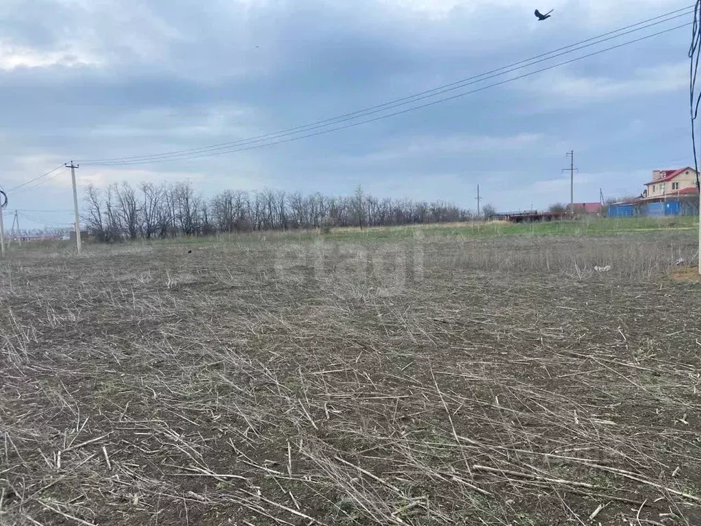 Участок в Ростовская область, Мясниковский район, с. Большие Салы ул. ... - Фото 2