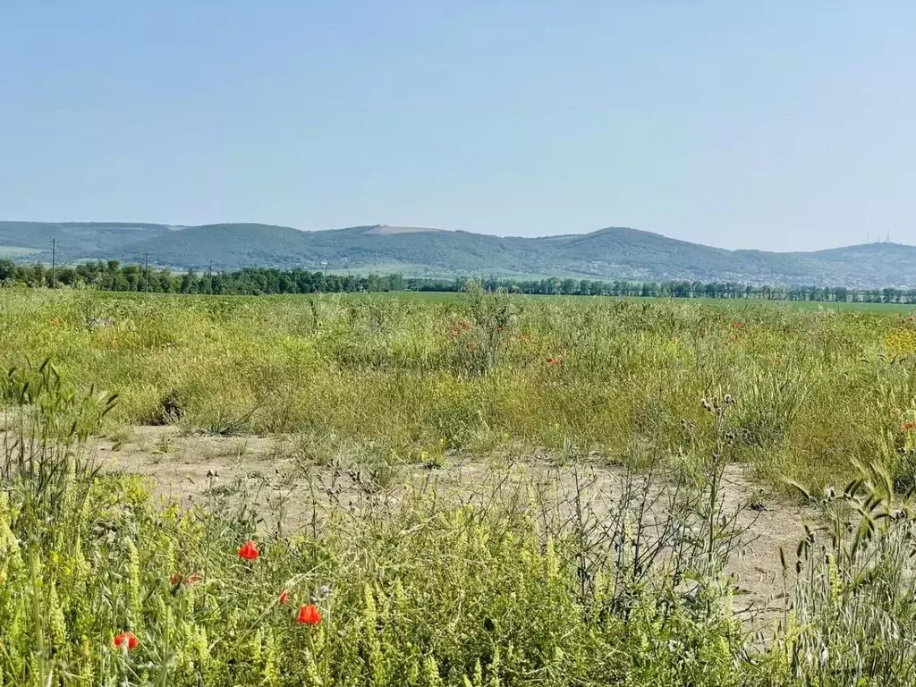 Участок в Краснодарский край, Анапа муниципальный округ, Анапская ... - Фото 0