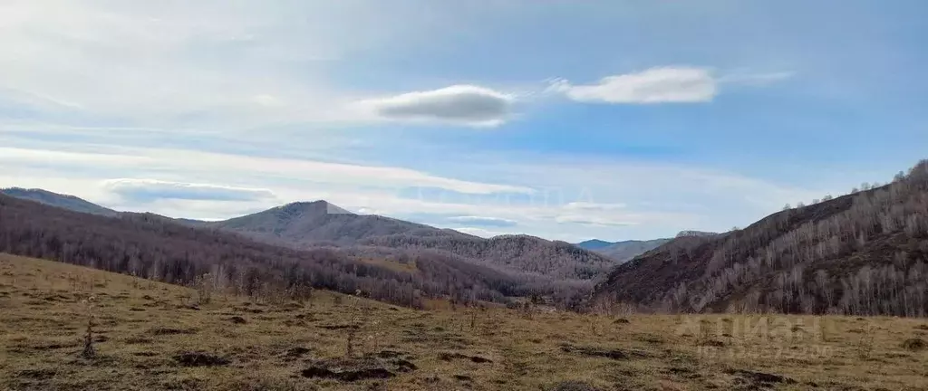 Участок в Алтайский край, Солонешенский район, с. Тележиха ул. Петра ... - Фото 1