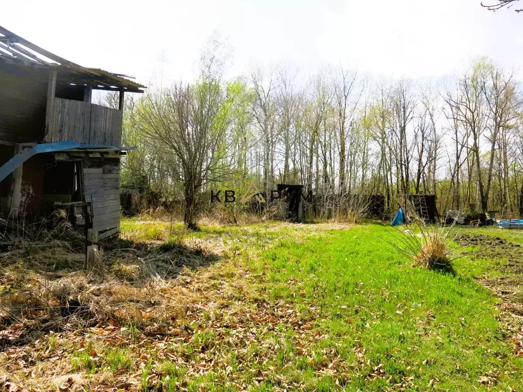 Участок в Еврейская автономная область, Смидовичский район, Дубки СНТ  ... - Фото 1