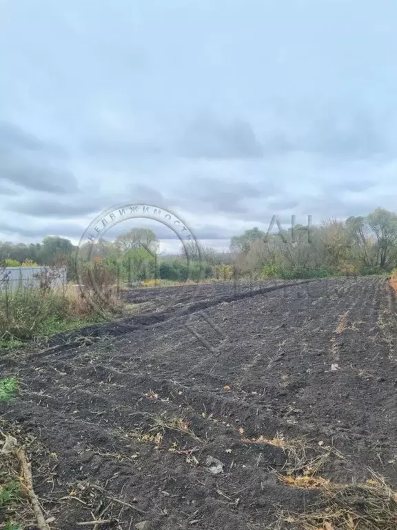 Участок в Курская область, Октябрьский район, Катыринский сельсовет, ... - Фото 2