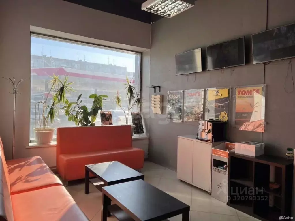 Помещение свободного назначения в Новосибирская область, Новосибирск ... - Фото 1