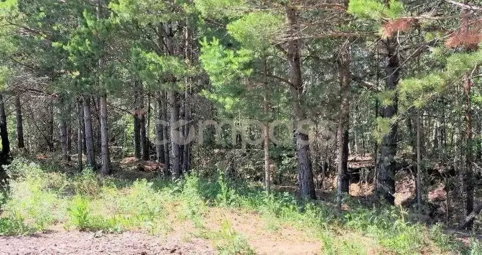 Участок в Тюменская область, Тюменский район, с. Кулига  (9.57 сот.) - Фото 1