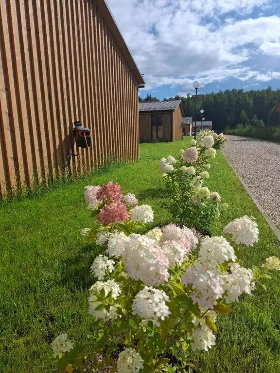 Дом в Московская область, Одинцовский городской округ, д. Новошихово, ... - Фото 2