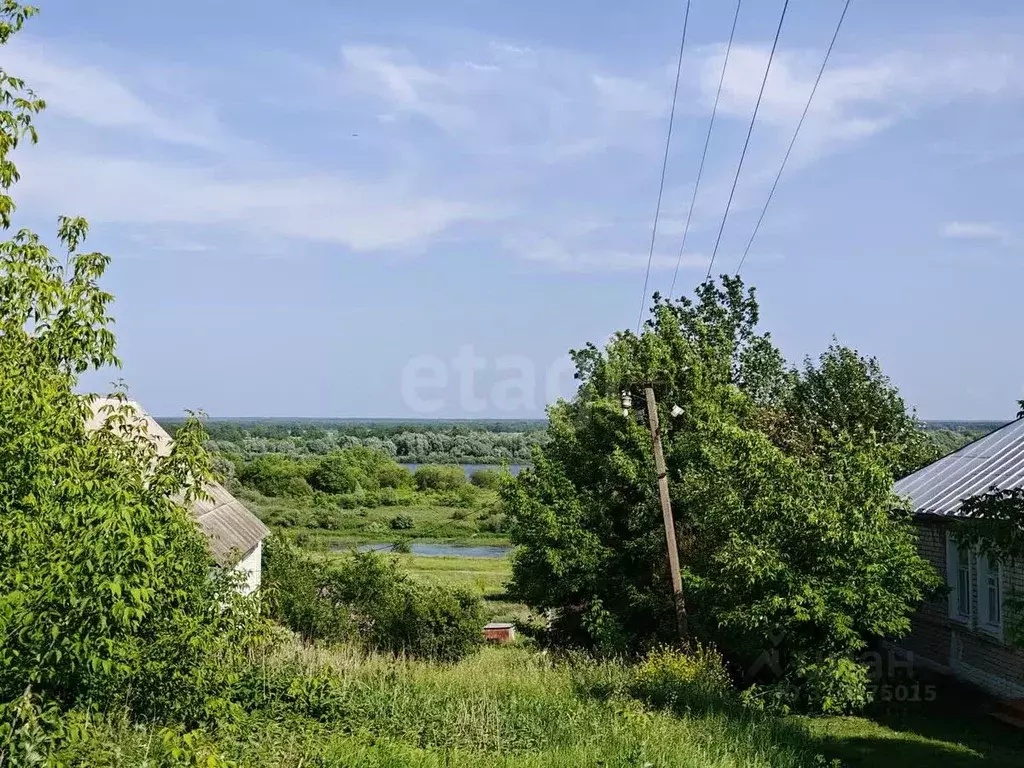 Дом в Владимирская область, Муром с. Панфилово, ул. Набережная, 40 (84 ... - Фото 1