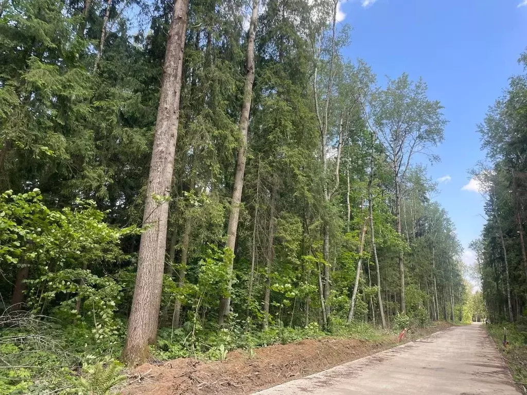 Участок в Московская область, Яхрома Дмитровский муниципальный округ, ... - Фото 2