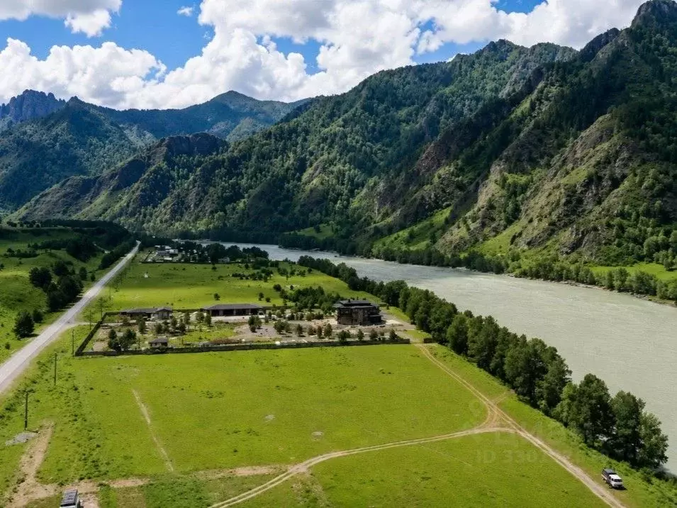 Участок в Алтай, Чемальский район Чемальский тракт, 47-й км (50.0 ... - Фото 1