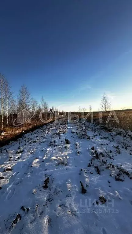 Участок в Тюменская область, Тюменский район, Казарма урочище  (5.14 ... - Фото 0
