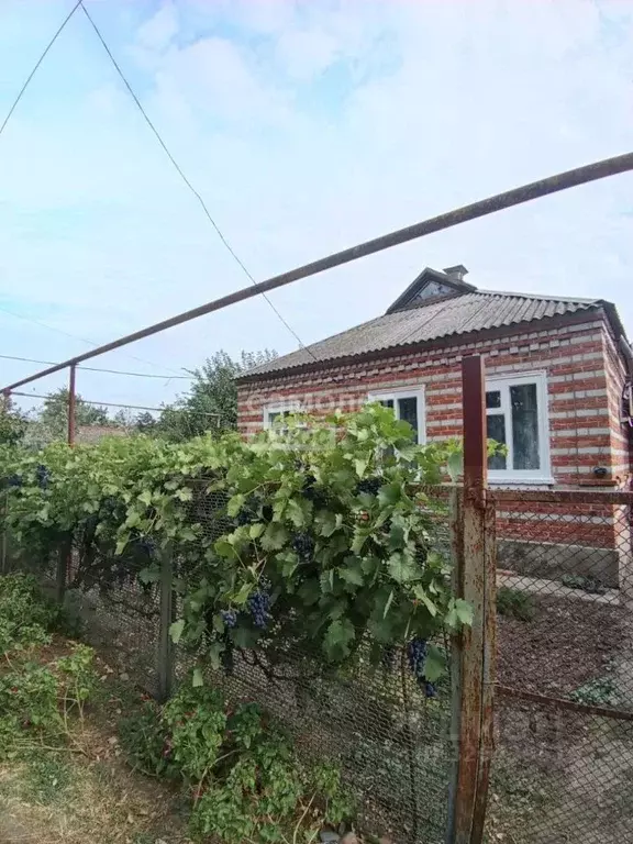 Дом в Краснодарский край, Тимашевский район, Поселковое с/пос, пос. ... - Фото 1