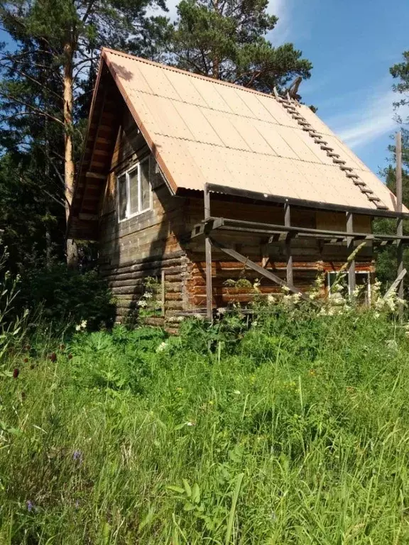 Участок в Красноярский край, Емельяновский муниципальный округ, Белка ... - Фото 1
