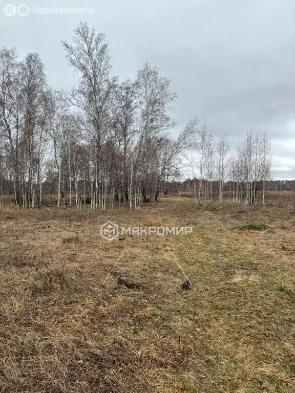 Участок в Новосибирский район, Верх-Тулинский сельсовет (8 м) - Фото 1