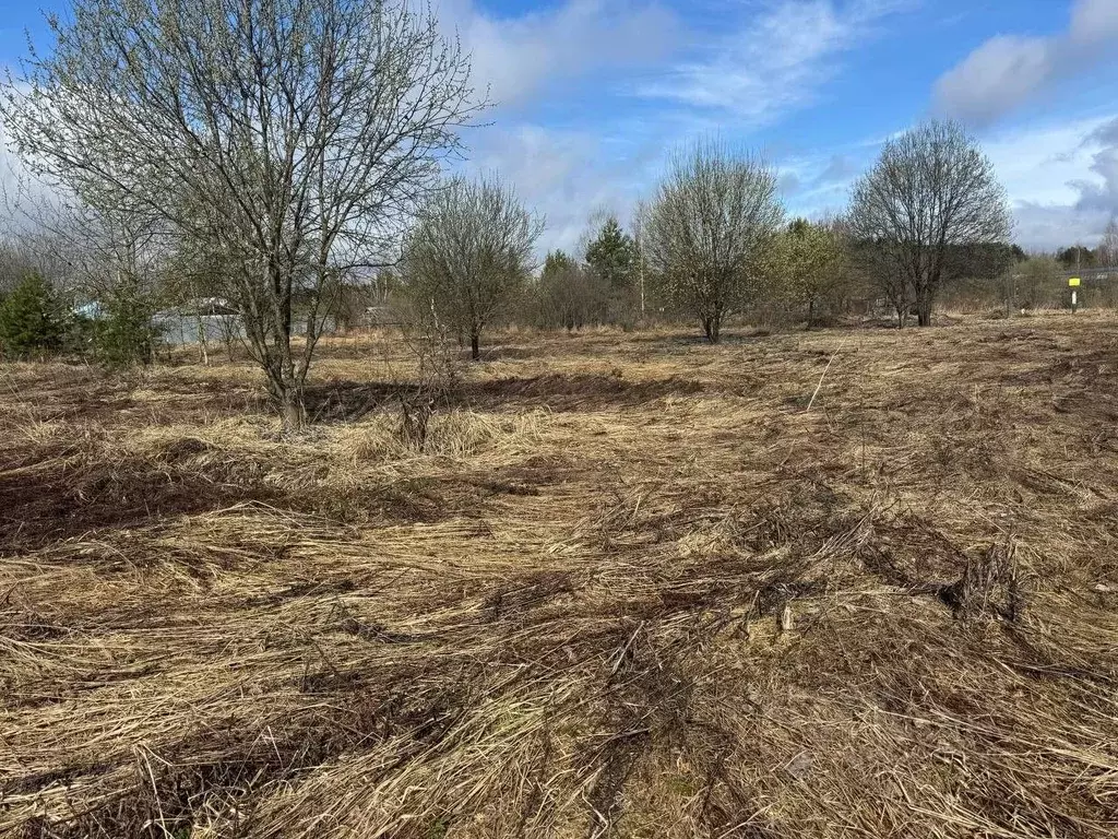 Участок в Московская область, Богородский городской округ, д. Черново  ... - Фото 1