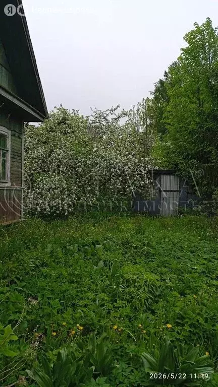 Дом в Ленинградская область, Гатчинский муниципальный округ, деревня ... - Фото 2