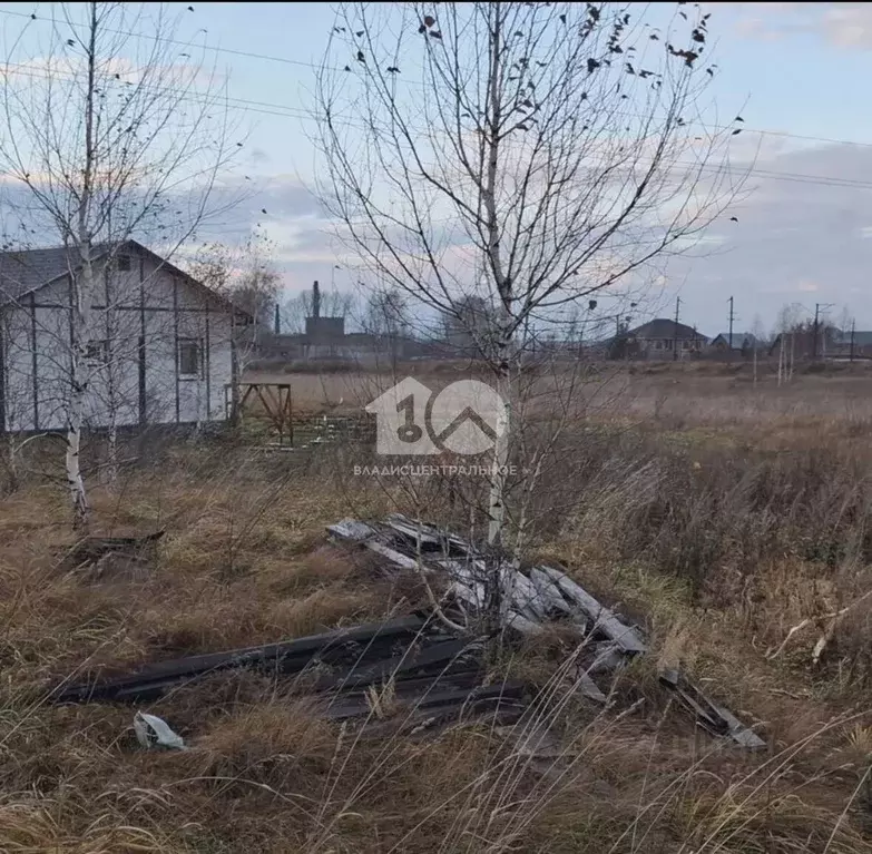 Участок в Новосибирская область, Новосибирский район, Станционный ... - Фото 2