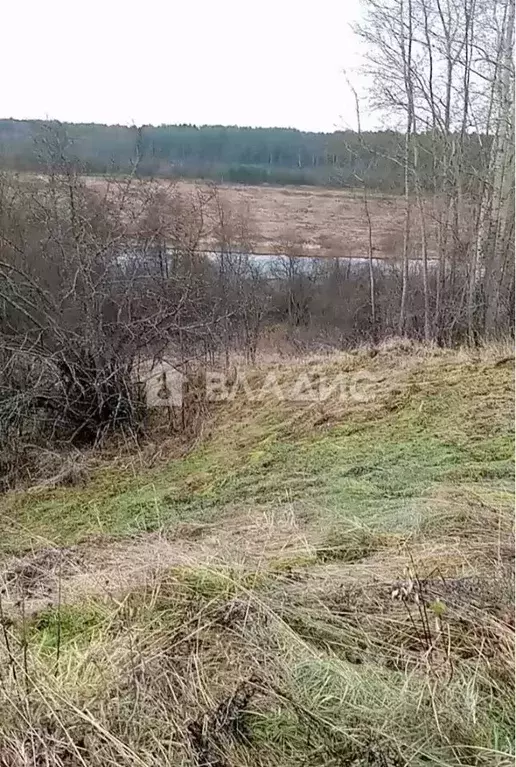 Участок в Нижегородская область, Ветлужский муниципальный округ, д. ... - Фото 1