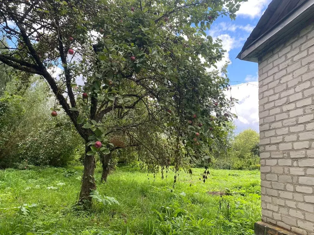 Дом в Орловская область, Хотынец пгт ул. Батова, 62 (85 м) - Фото 1