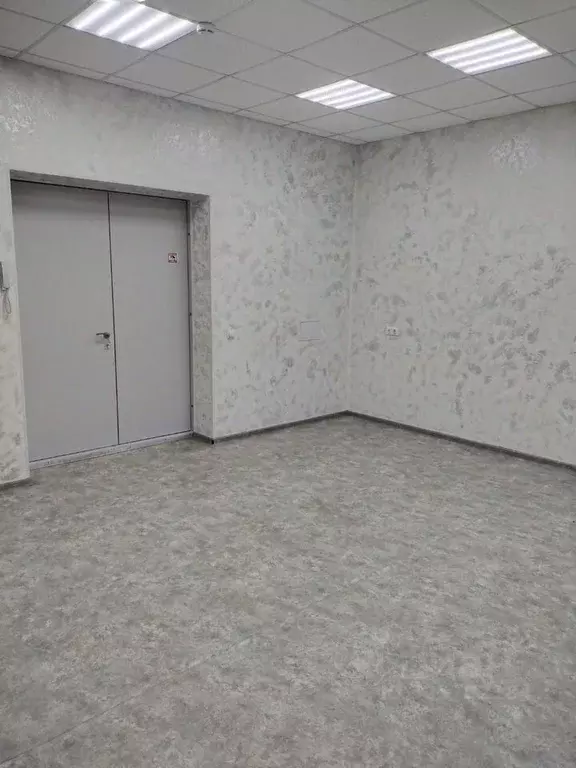 Помещение свободного назначения в Новосибирская область, Новосибирск ... - Фото 1