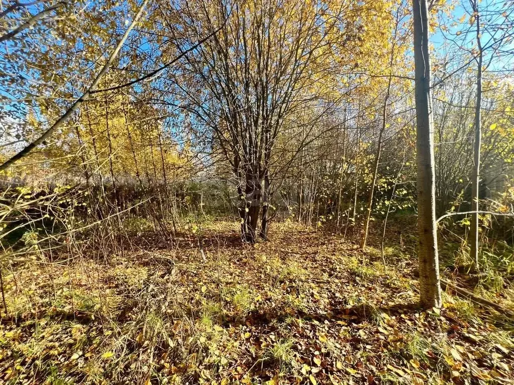 Участок в Вологодская область, пос. Рубцово  (6.0 сот.) - Фото 2