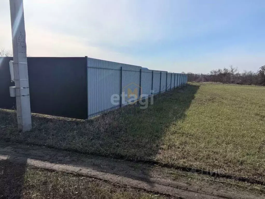 Участок в Белгородская область, Белгородский район, Разумное рп  (8.0 ... - Фото 2