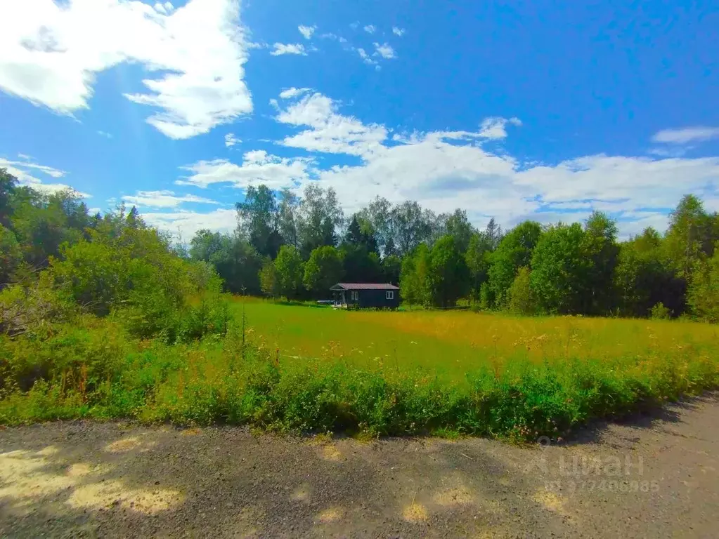 Участок в Московская область, Дмитровский муниципальный округ, Поселок ... - Фото 1