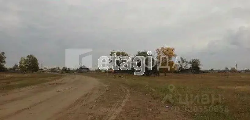 Участок в Алтайский край, Панкрушихинский район, пос. Первомайский ... - Фото 0