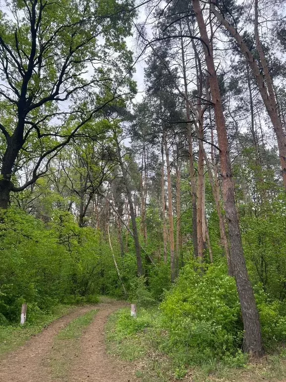 Дом 35 м на участке 5 сот. - Фото 1