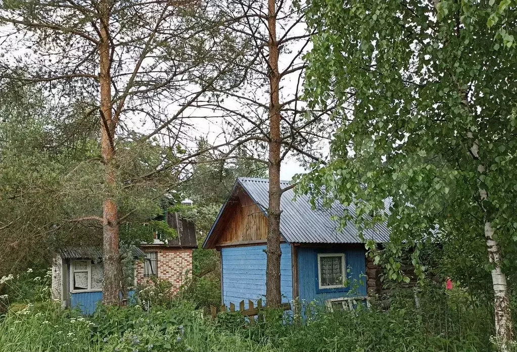 Дом 40 м на участке 6 сот. - Фото 1