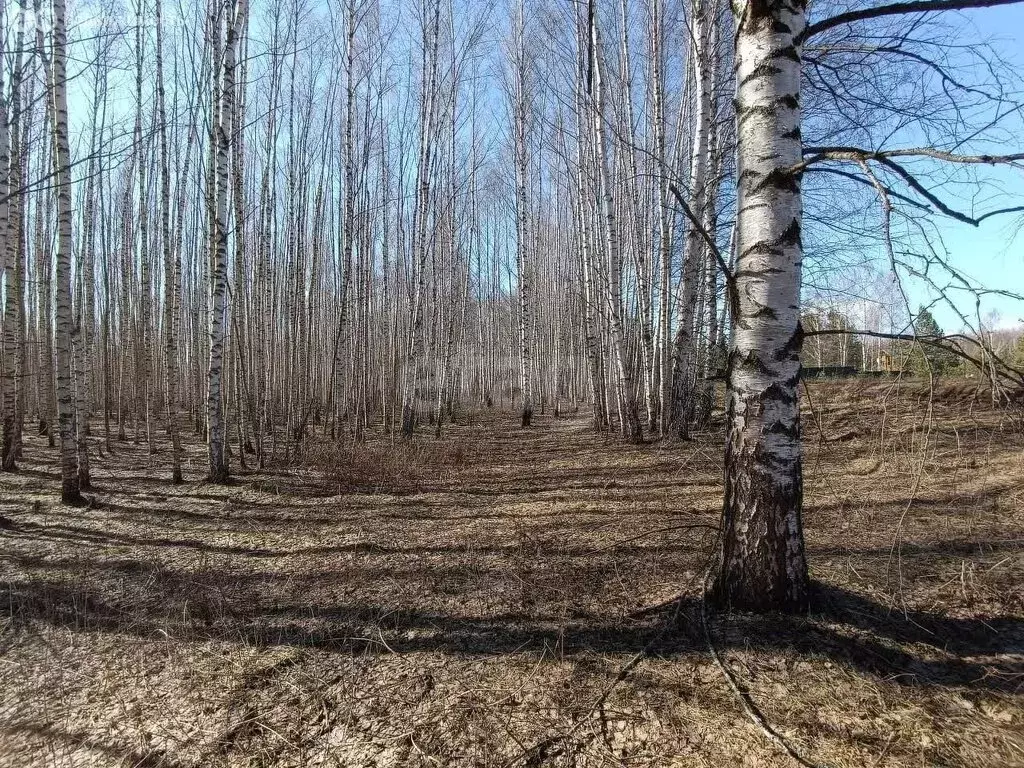 Участок в Нижегородская область, Лысковский муниципальный округ, ... - Фото 1