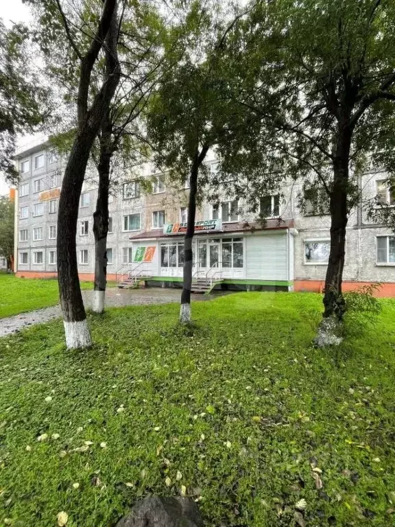 Офис в Камчатский край, Петропавловск-Камчатский ул. Тушканова, 12 ... - Фото 1