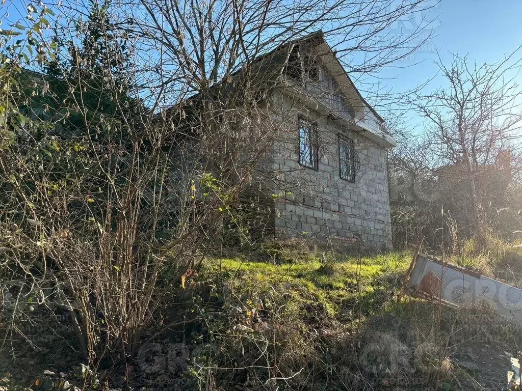 Участок в Краснодарский край, Сочи городской округ, с. Васильевка ул. ... - Фото 0