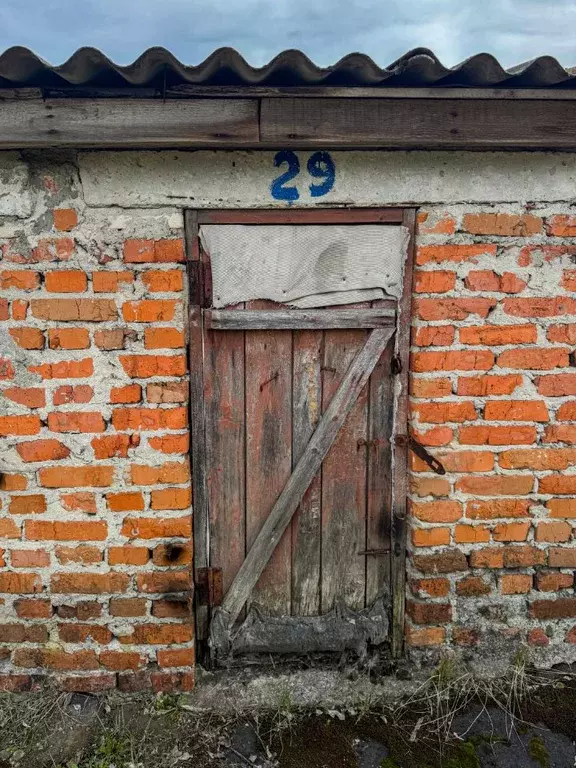 Помещение свободного назначения в Орловская область, Кромы пгт ул. К. ... - Фото 1