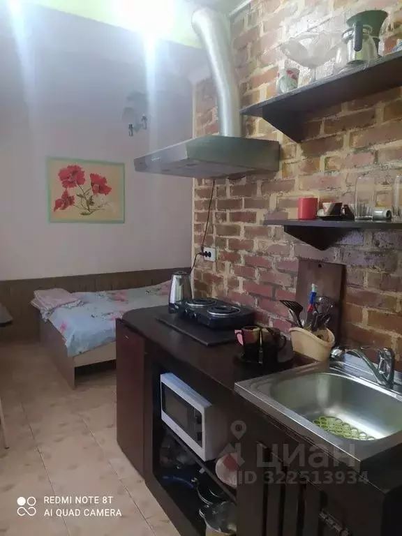 Студия Крым, Ялта ул. Заречная, 8 (20.0 м) - Фото 1