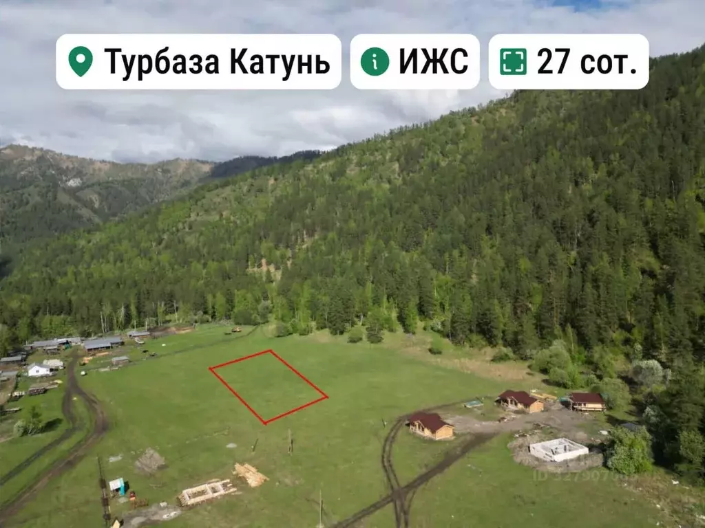 Участок в Алтай, Чемальский район, с. Турбаза Катунь Сосновая ул. ... - Фото 1