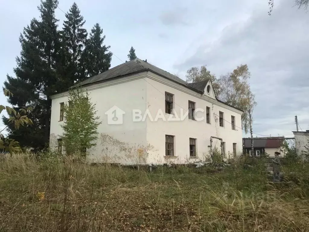 Помещение свободного назначения в Владимирская область, Селивановский ... - Фото 1