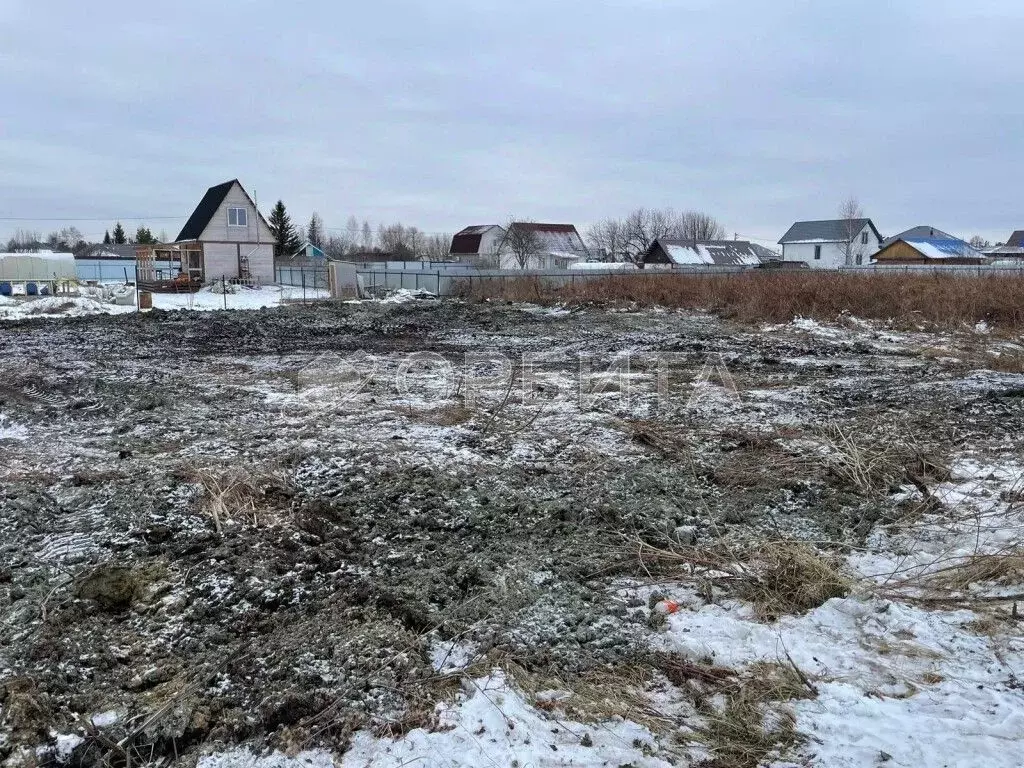 Участок в Тюменская область, Тюмень Царево садовое товарищество, ул. ... - Фото 1